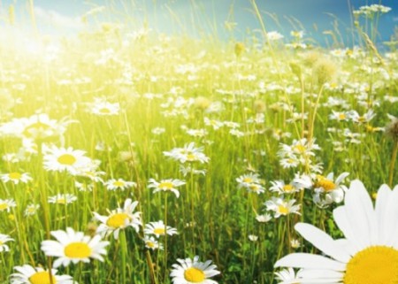 21-02-2015 ve 22-02-2015 Dini Egitim Dersleri Tatil